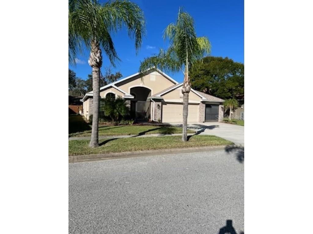 9030 Calle Alta New Port Richey FL 34655 A4589768 image1