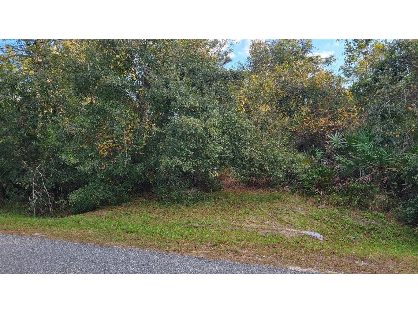 9030 Concord Road Saint Cloud FL 34773 O6263538 image1