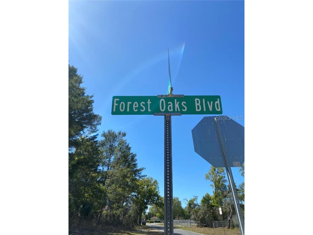 9030 Forest Oaks Boulevard Spring Hill FL 34606 U8193357 image1