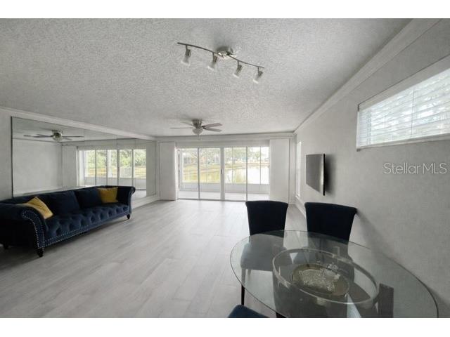 9030 Lake Place Lane Tampa FL 33634 TB8487927 image3