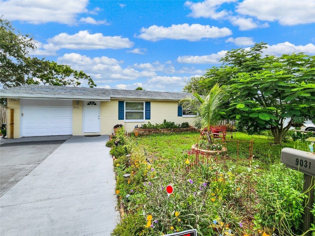9031 Gray Fox Lane Port Richey FL 34668 U8207009 image1