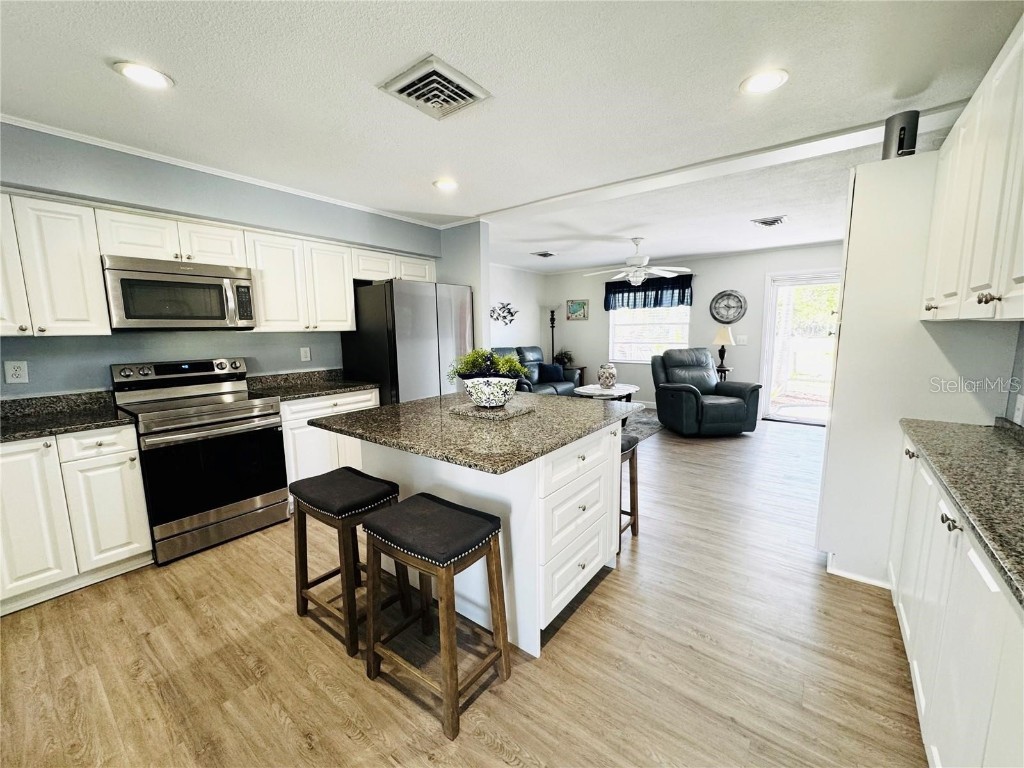 9031 Hilolo Lane Venice FL 34293 - MYAKKA RIVER A4672734 image14