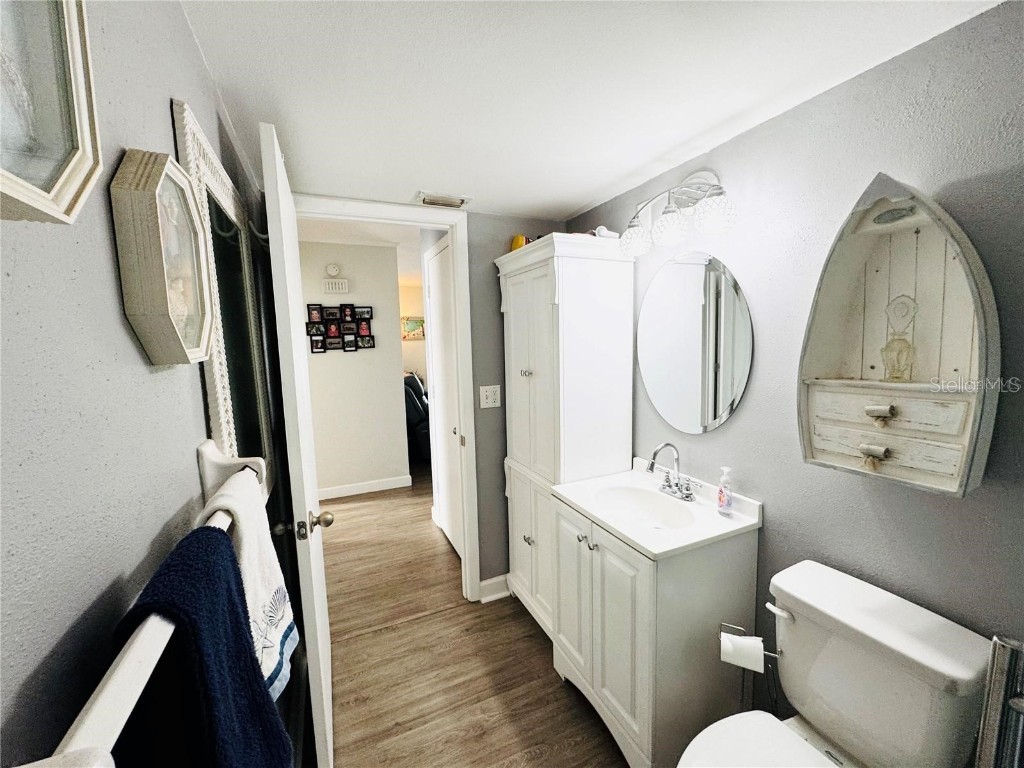 9031 Hilolo Lane Venice FL 34293 - MYAKKA RIVER A4672734 image25