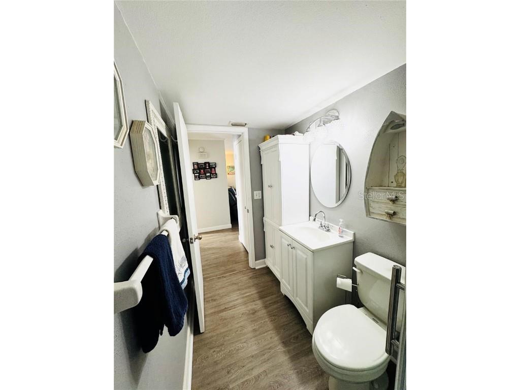 9031 Hilolo Lane Venice FL 34293 - MYAKKA RIVER A4672734 image26