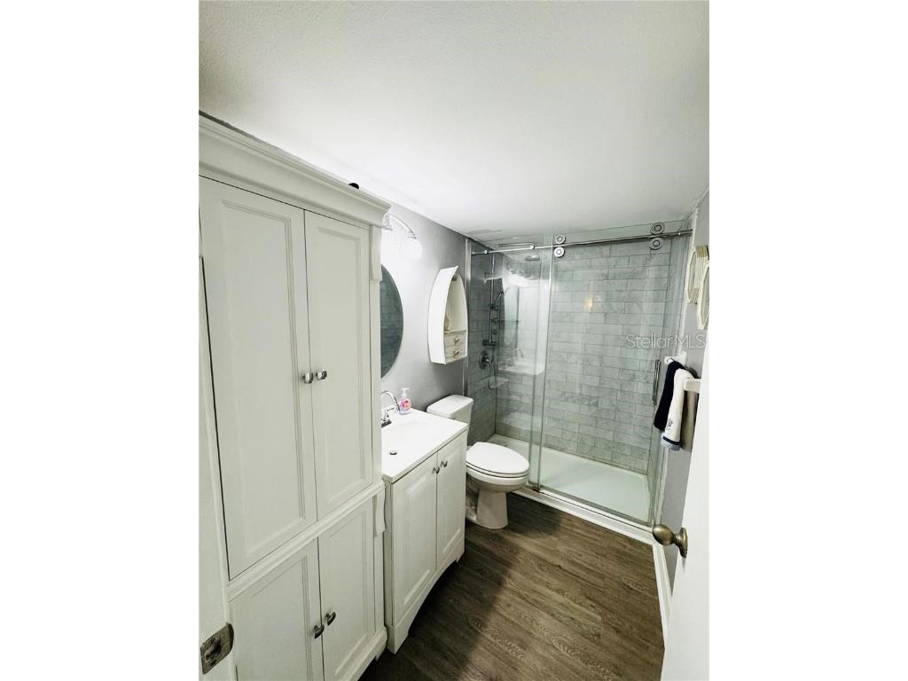 9031 Hilolo Lane Venice FL 34293 - MYAKKA RIVER A4672734 image27