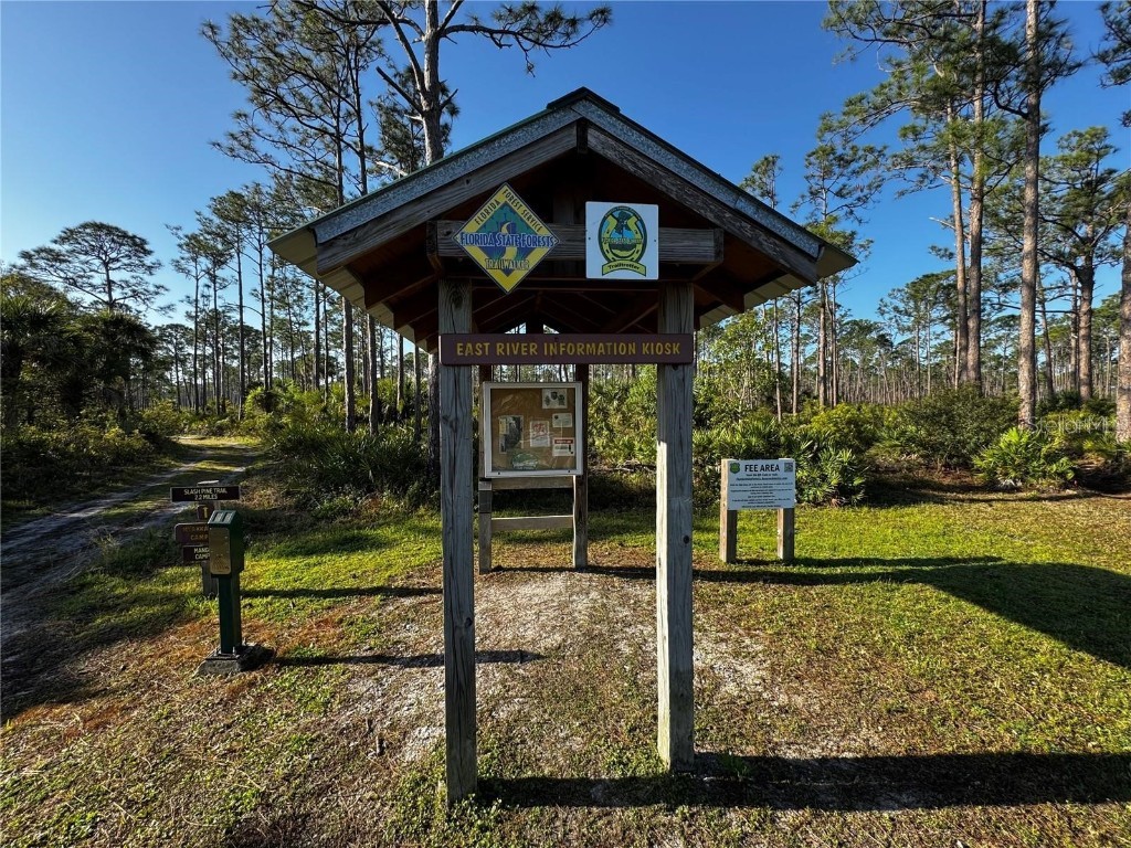 9031 Hilolo Lane Venice FL 34293 - MYAKKA RIVER A4672734 image40