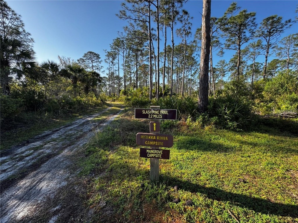 9031 Hilolo Lane Venice FL 34293 - MYAKKA RIVER A4672734 image41