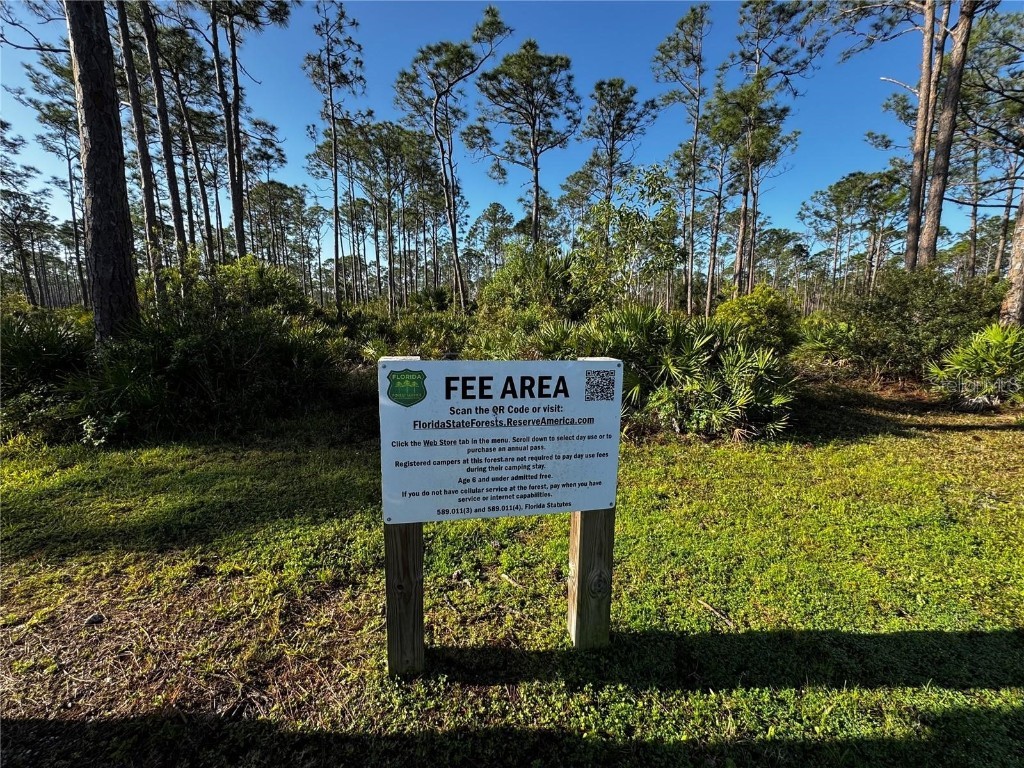 9031 Hilolo Lane Venice FL 34293 - MYAKKA RIVER A4672734 image42