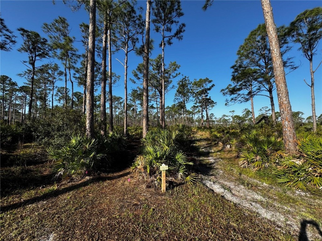 9031 Hilolo Lane Venice FL 34293 - MYAKKA RIVER A4672734 image43