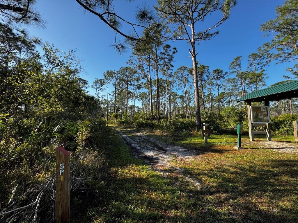 9031 Hilolo Lane Venice FL 34293 - MYAKKA RIVER A4672734 image44