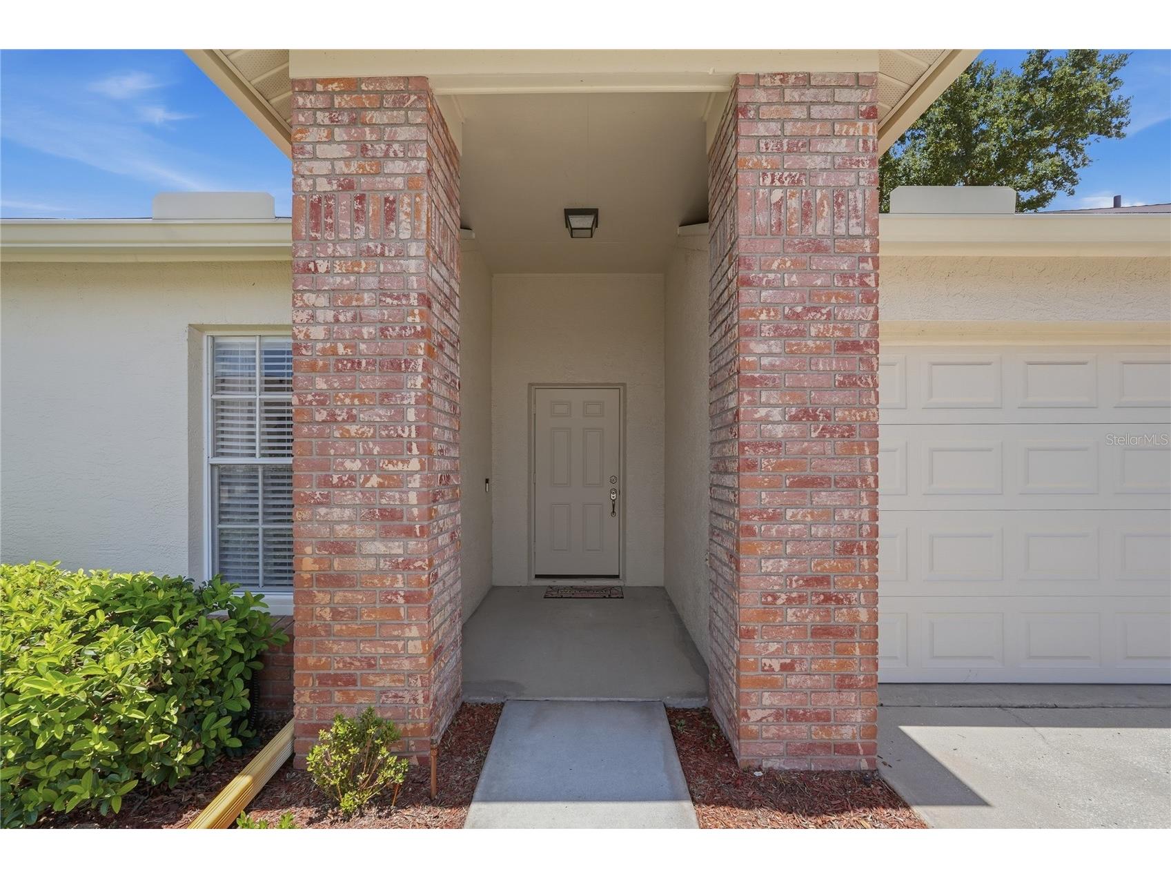 9031 Warwick Lane #9031 New Port Richey FL 34655 W7886094 image3