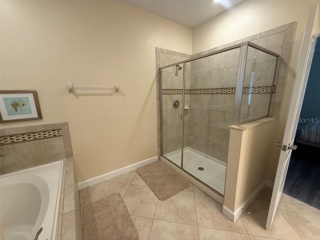 9032 Shadow Mountain Street Davenport FL 33896 O6301556 image11