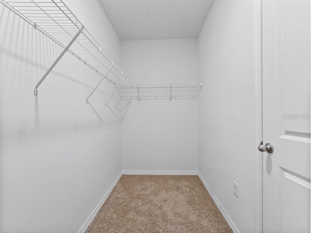 9032 Water Chestnut Drive Tampa FL 33637 TB8454240 image15