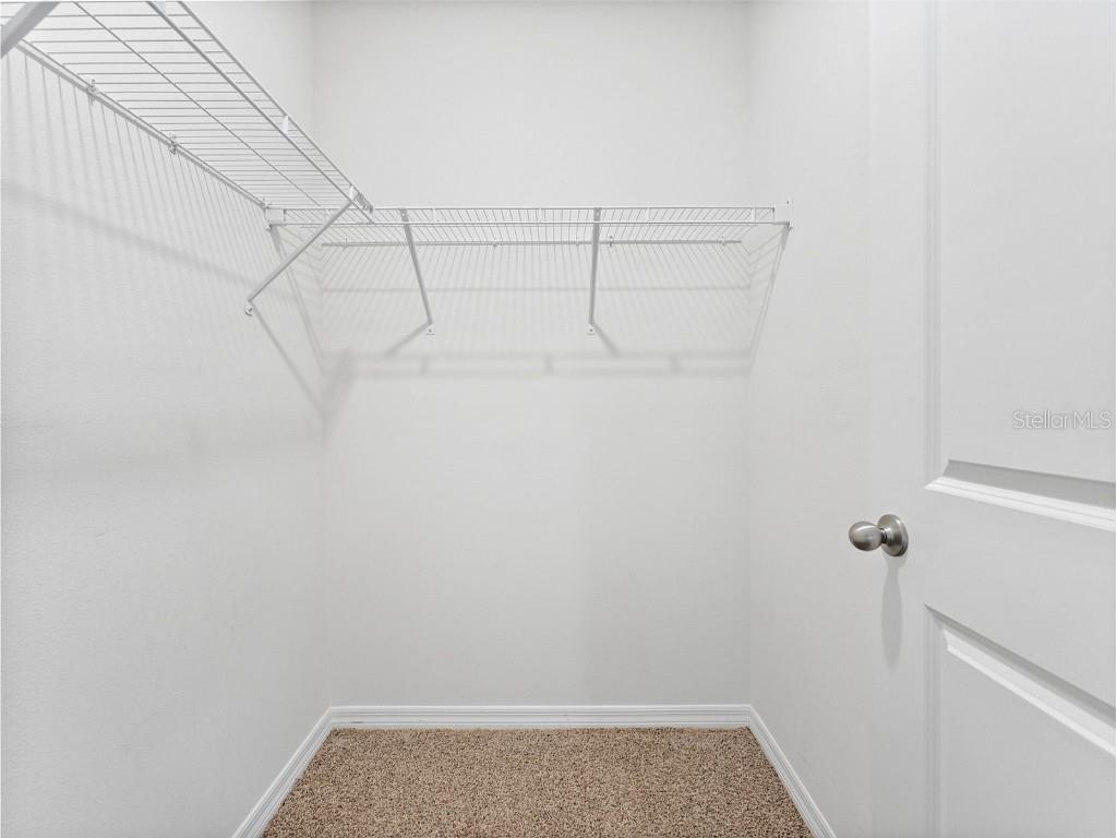 9032 Water Chestnut Drive Tampa FL 33637 TB8454240 image19