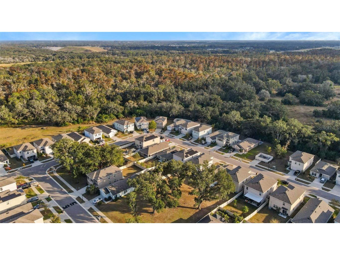 9032 Water Chestnut Drive Tampa FL 33637 TB8454240 image32