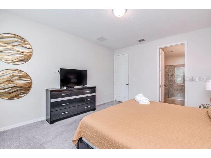 9033 Flamingo Key Way Kissimmee FL 34747 O6289623 image8