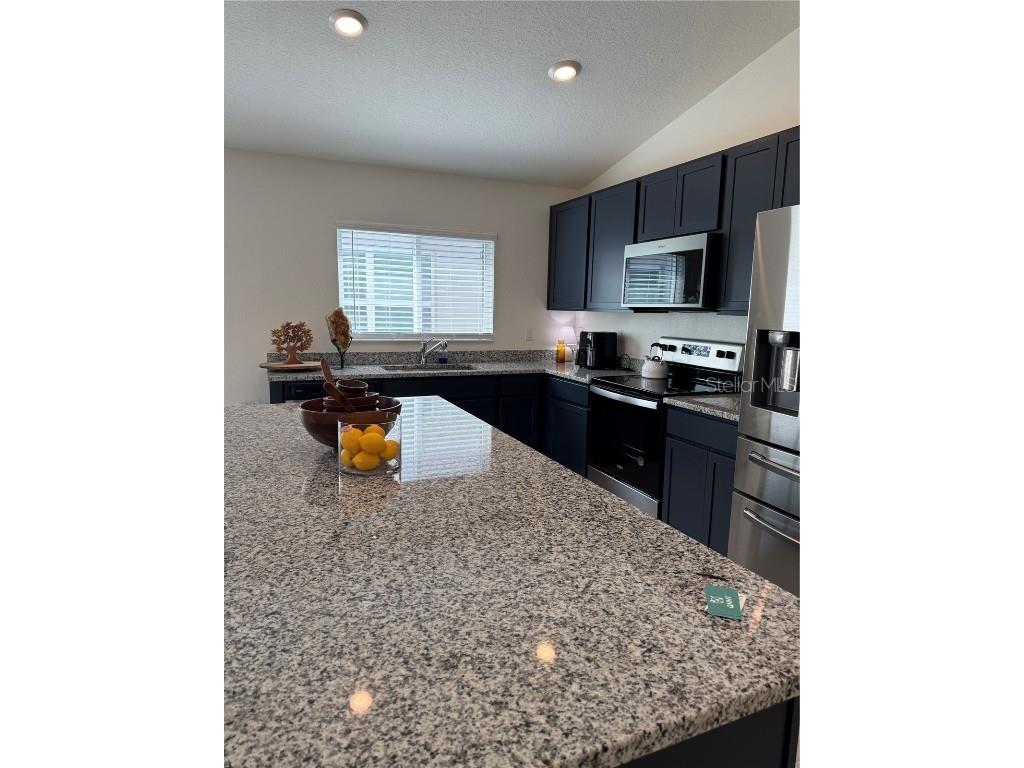 9033 Hooton Way Davenport FL 33896 O6343250 image11