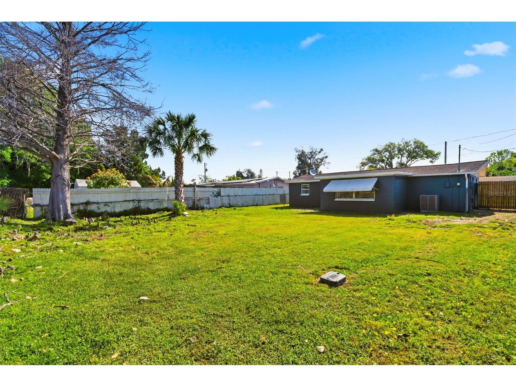 9033 Pegasus Avenue Port Richey FL 34668 W7884401 image42