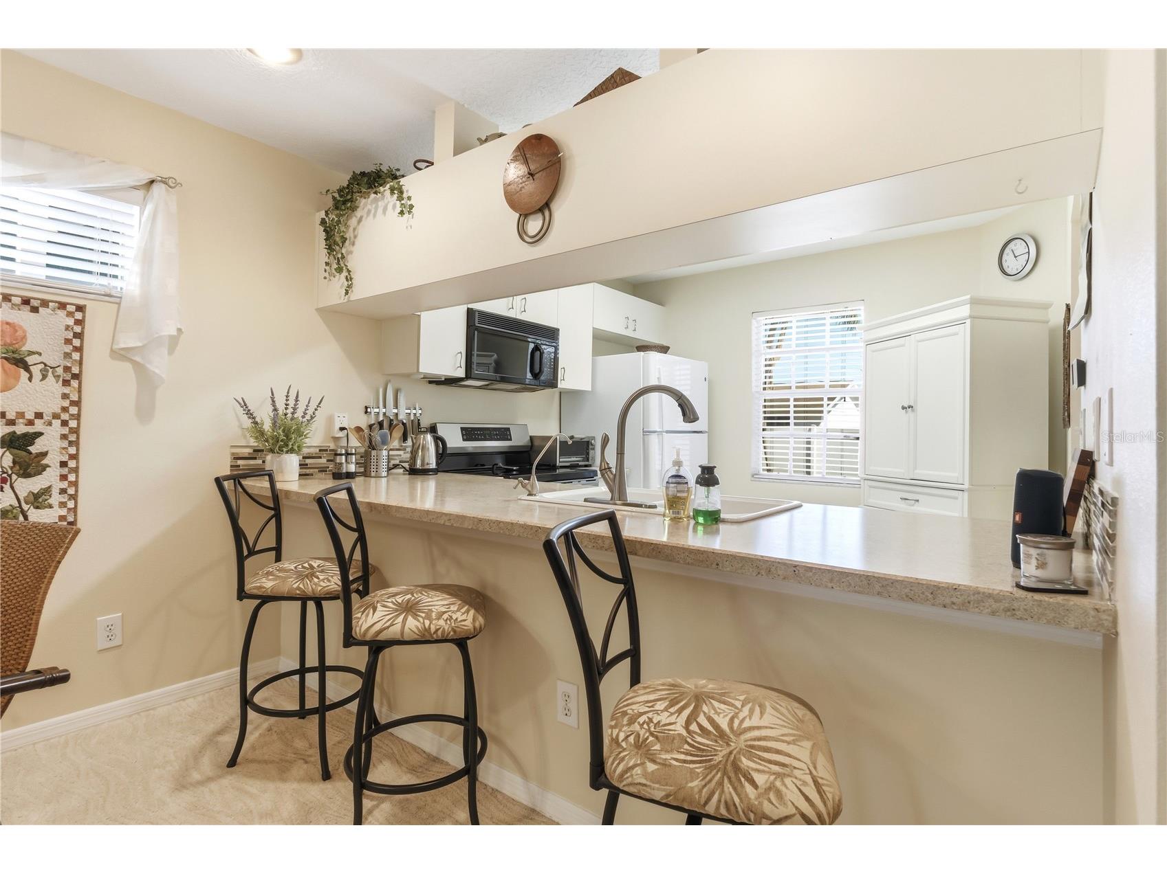9034 Lake Place Lane #9034 Tampa FL 33634 TB8502806 image10