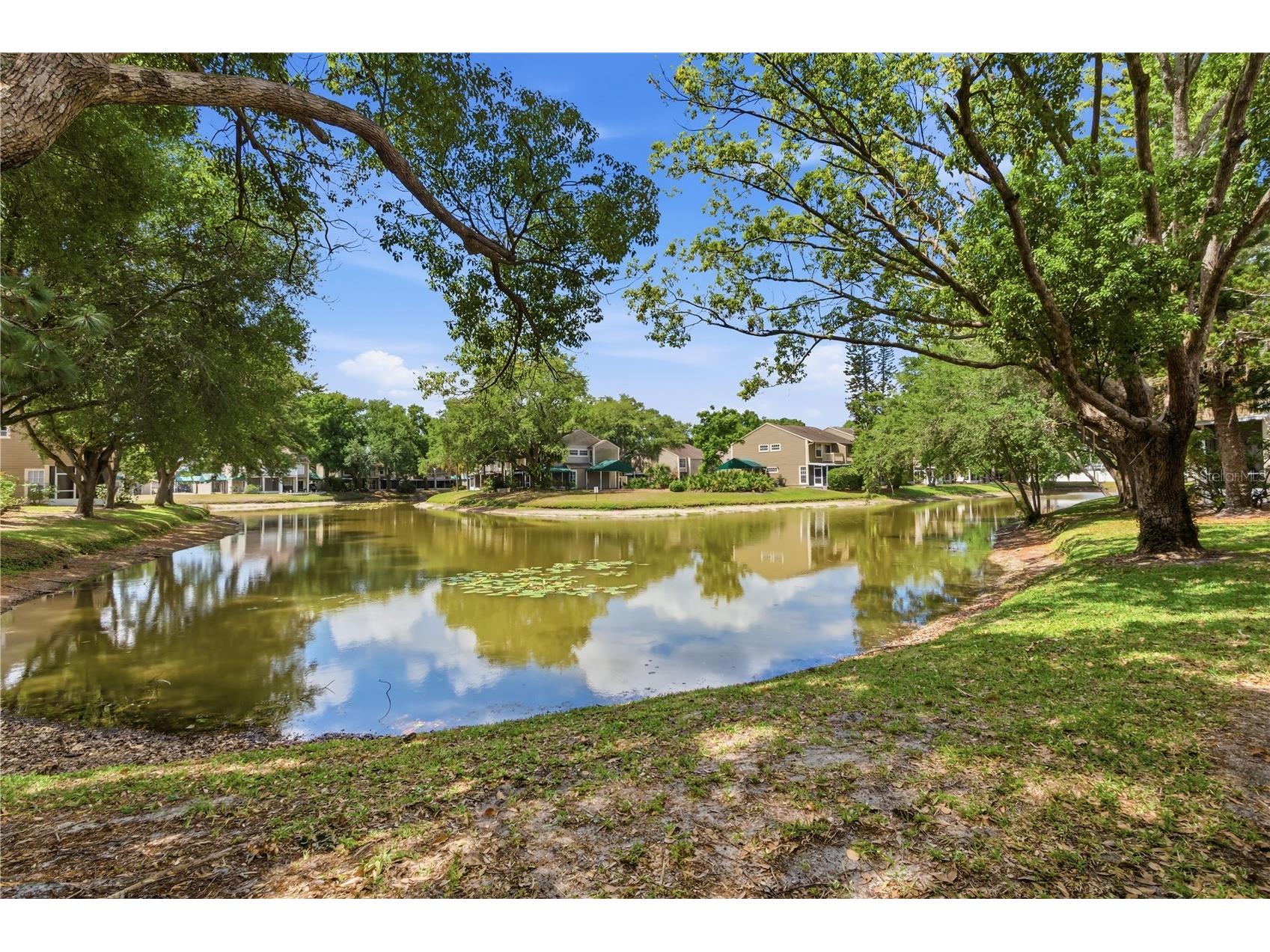 9034 Lake Place Lane #9034 Tampa FL 33634 TB8502806 image44