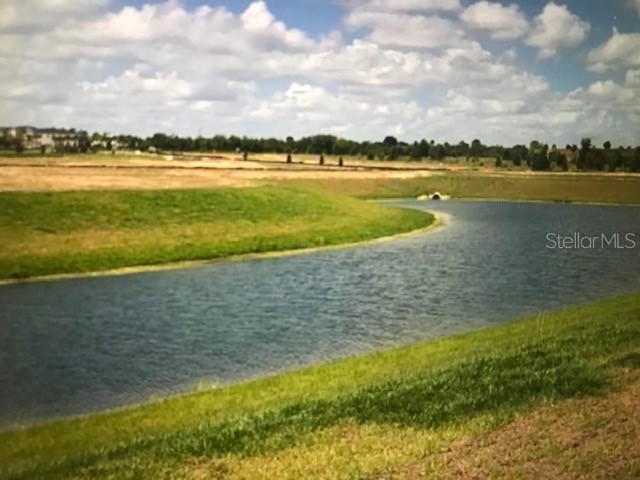 9035 Carlotta Way Kissimmee FL 34747 S5144237 image17