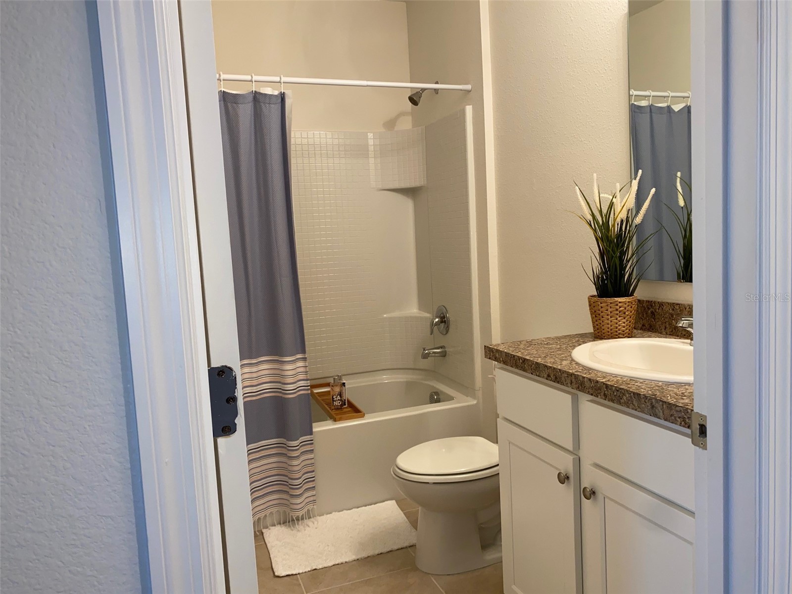 9035 Carlotta Way Kissimmee FL 34747 S5144237 image7