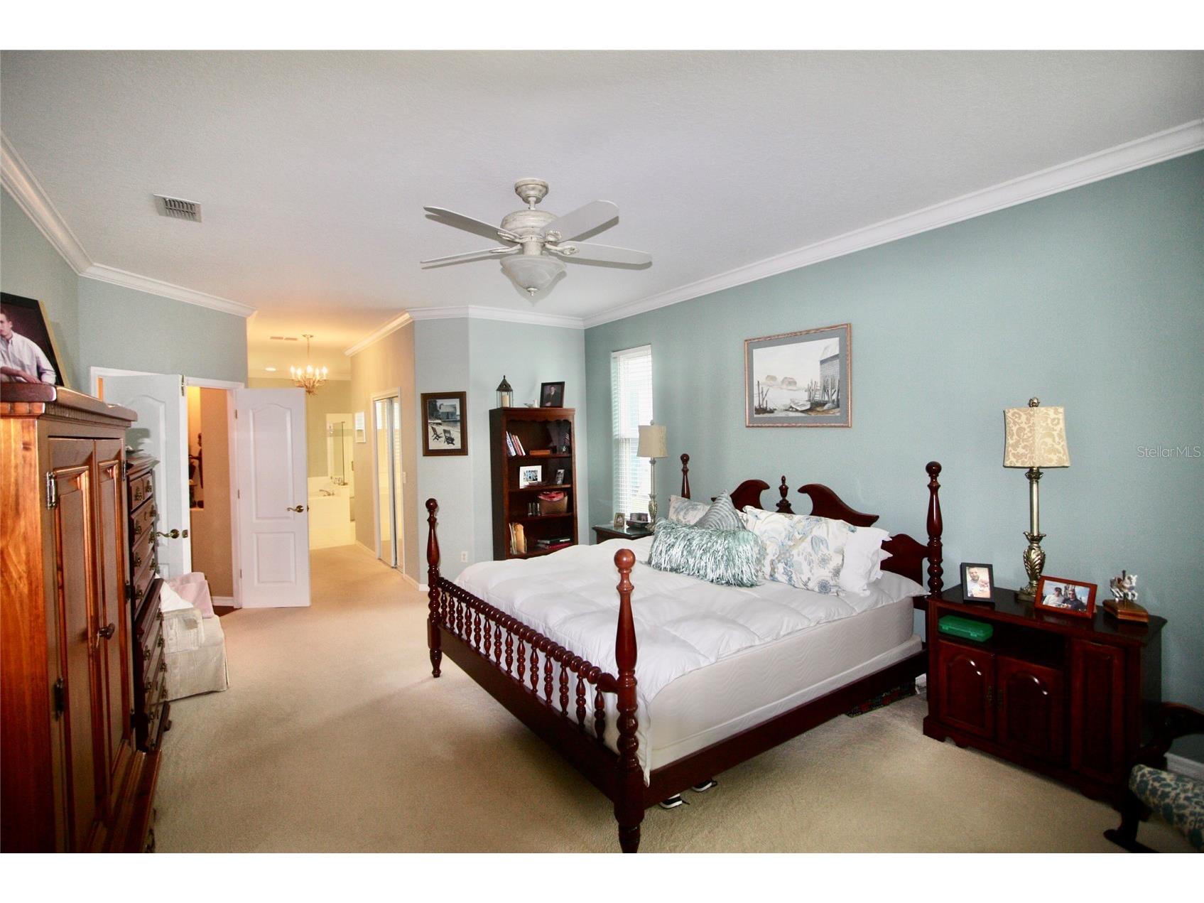 9035 Laurel Ridge Drive Mount Dora FL 32757 O6405771 image14