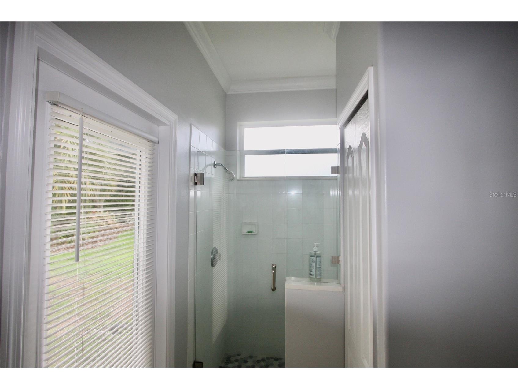 9035 Laurel Ridge Drive Mount Dora FL 32757 O6405771 image24