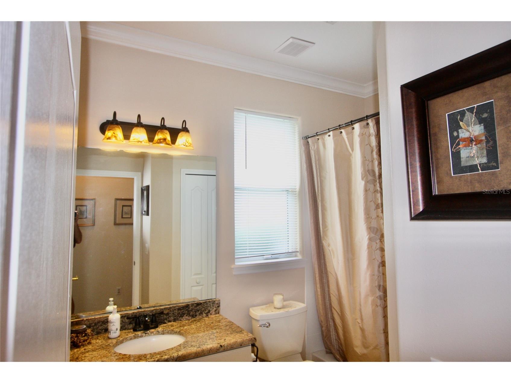 9035 Laurel Ridge Drive Mount Dora FL 32757 O6405771 image25