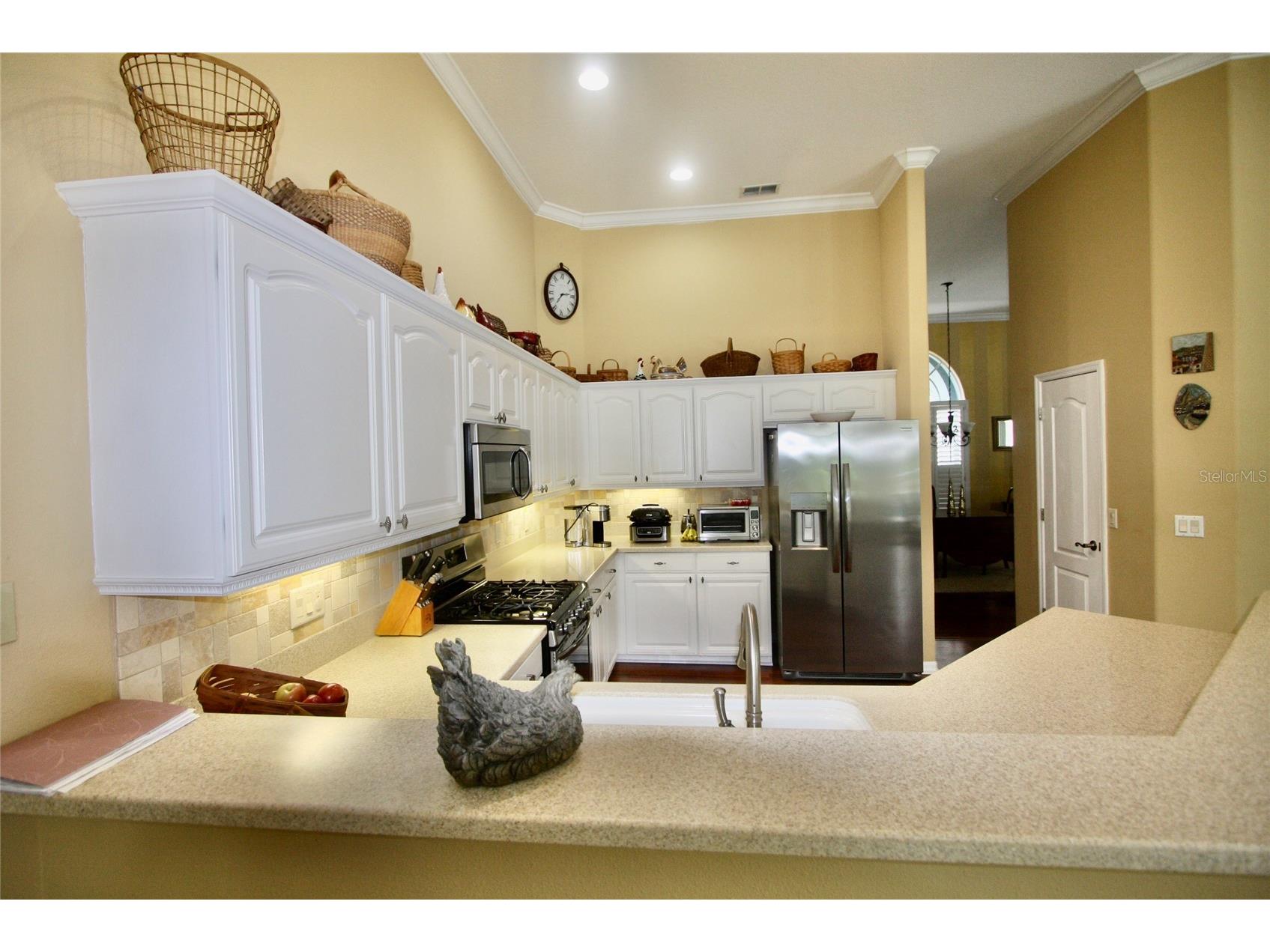 9035 Laurel Ridge Drive Mount Dora FL 32757 O6405771 image6