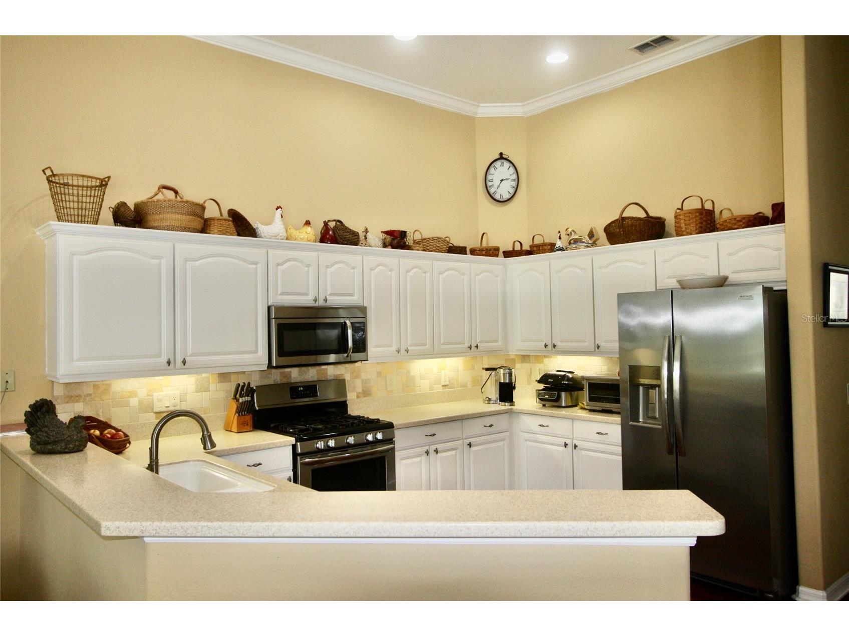 9035 Laurel Ridge Drive Mount Dora FL 32757 O6405771 image7