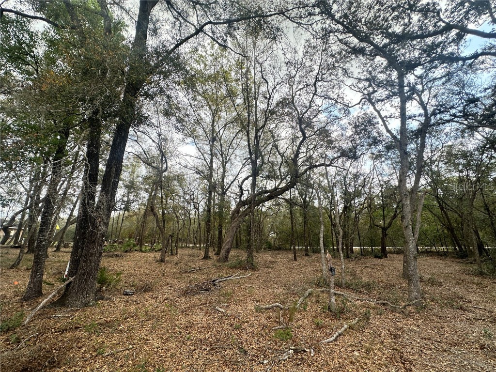 9035 Realstone Drive Webster FL 33597 TB8360462 image1