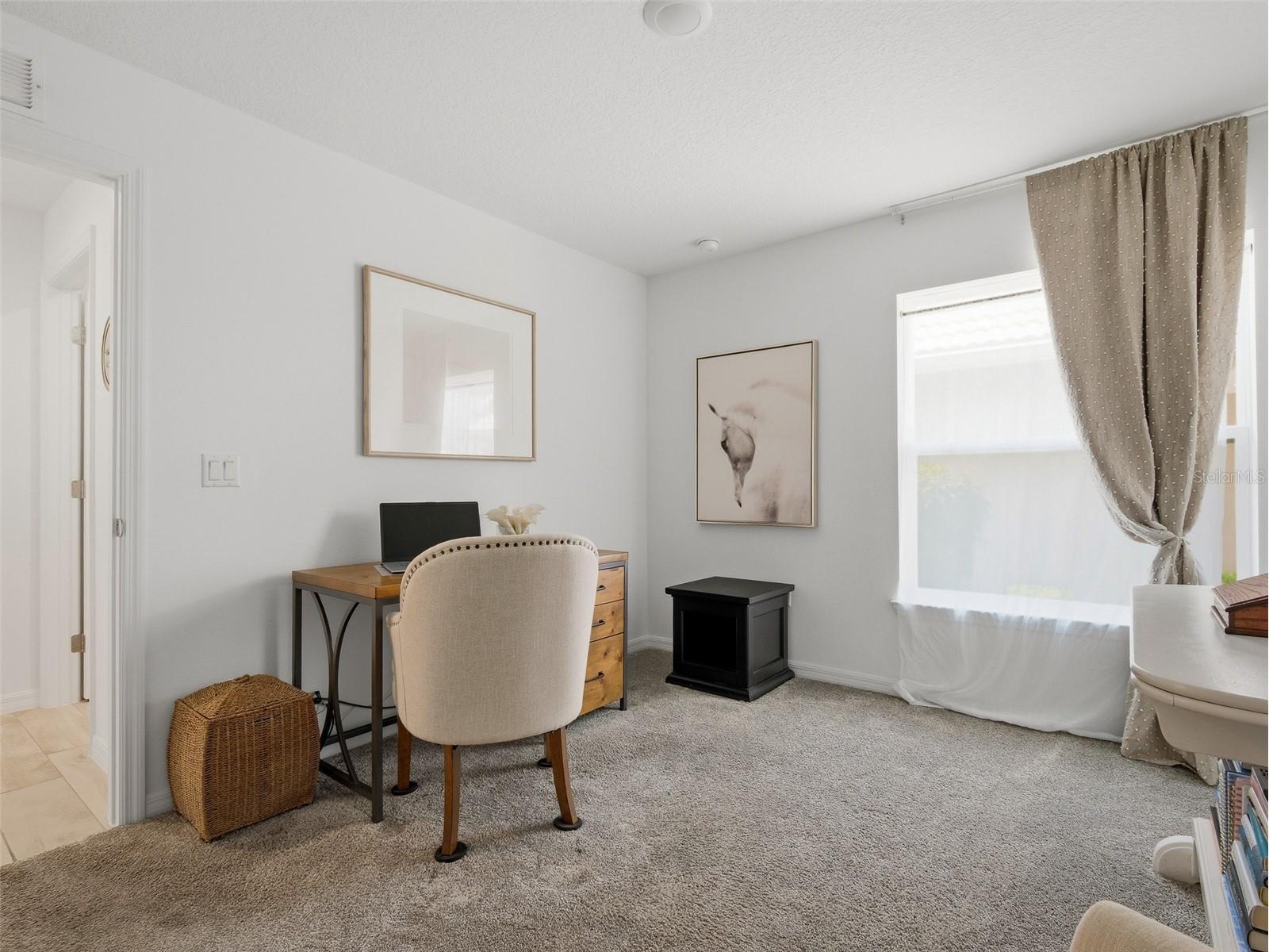 9035 Saint Andrews Way Mount Dora FL 32757 NS1087767 image20