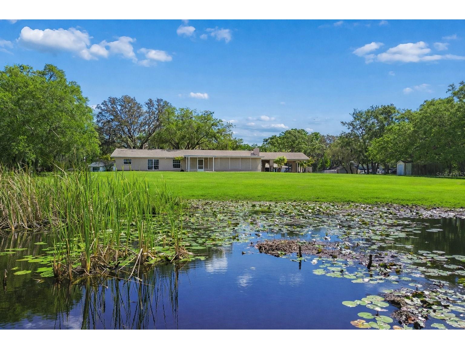 9035 Sharon Drive New Port Richey FL 34654 W7884482 image2