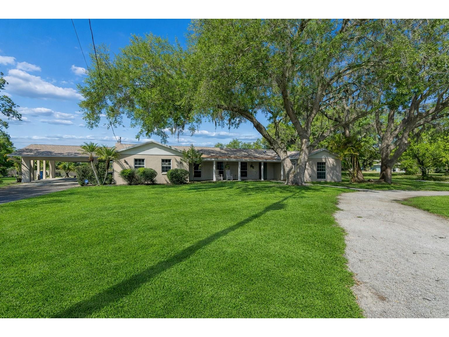 9035 Sharon Drive New Port Richey FL 34654 W7884482 image4