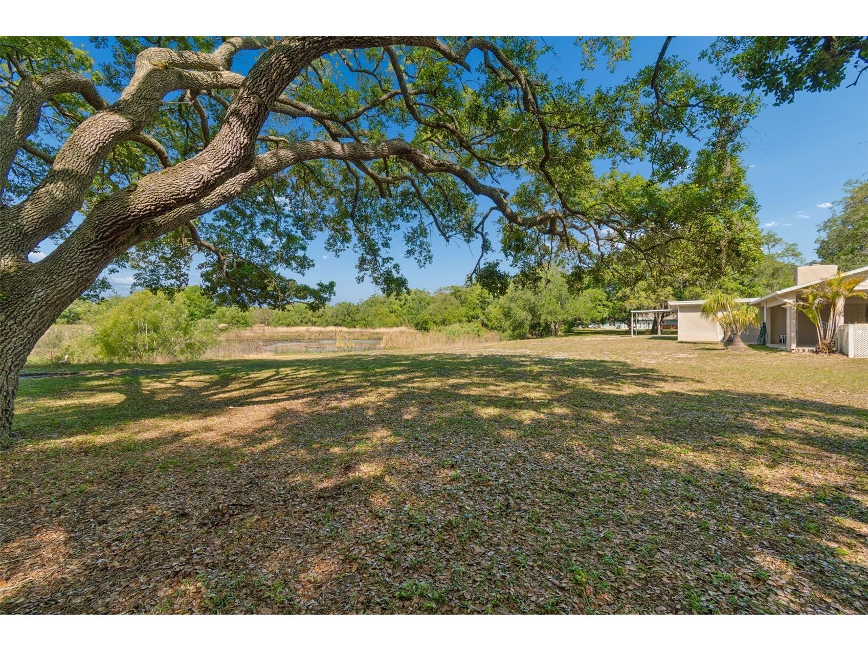 9035 Sharon Drive New Port Richey FL 34654 W7884482 image47