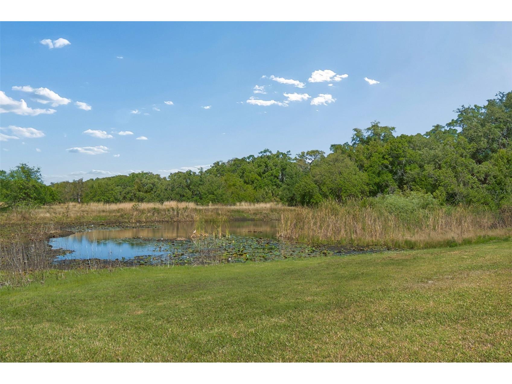 9035 Sharon Drive New Port Richey FL 34654 W7884482 image48