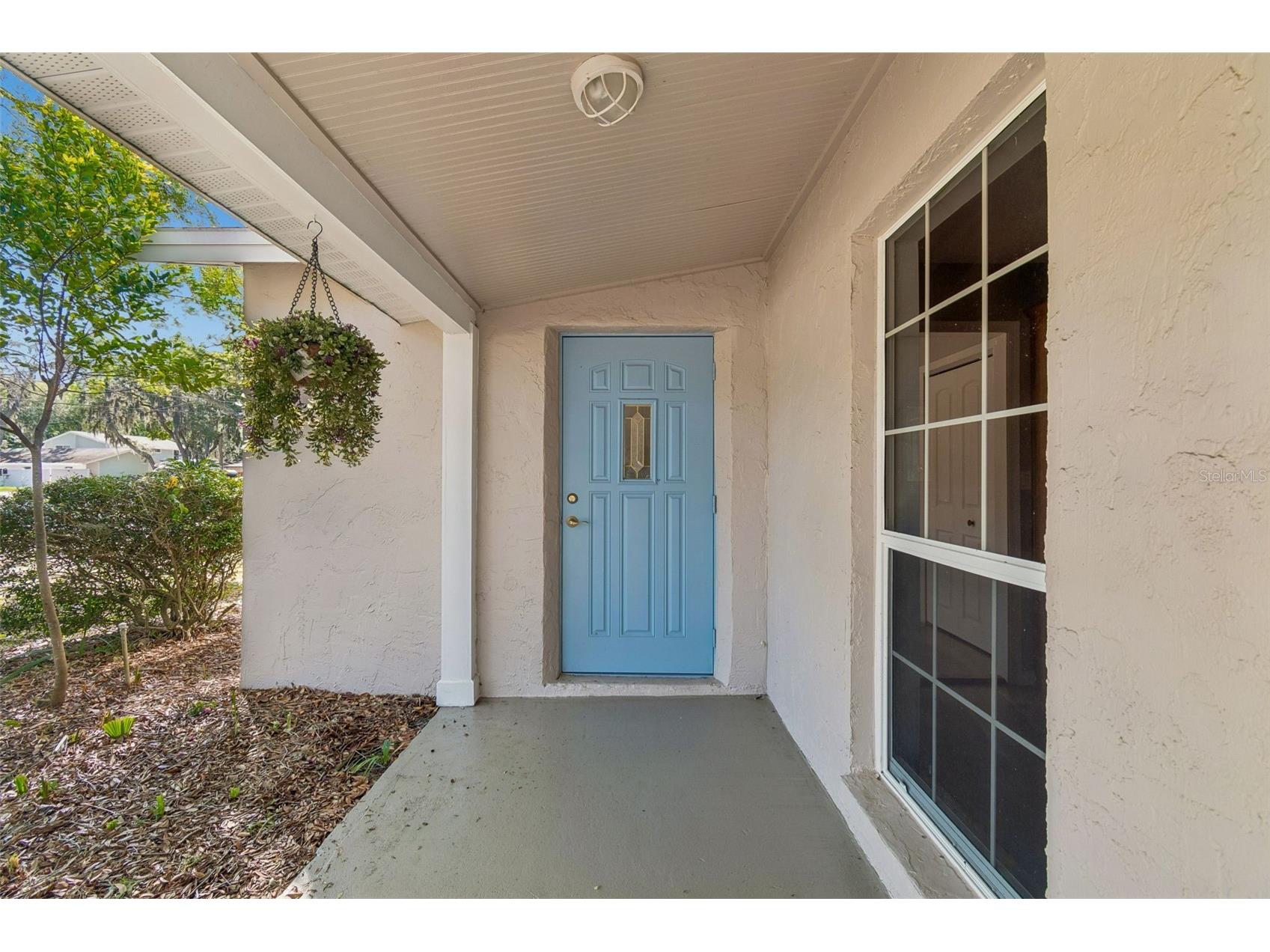 9035 Sharon Drive New Port Richey FL 34654 W7884482 image7