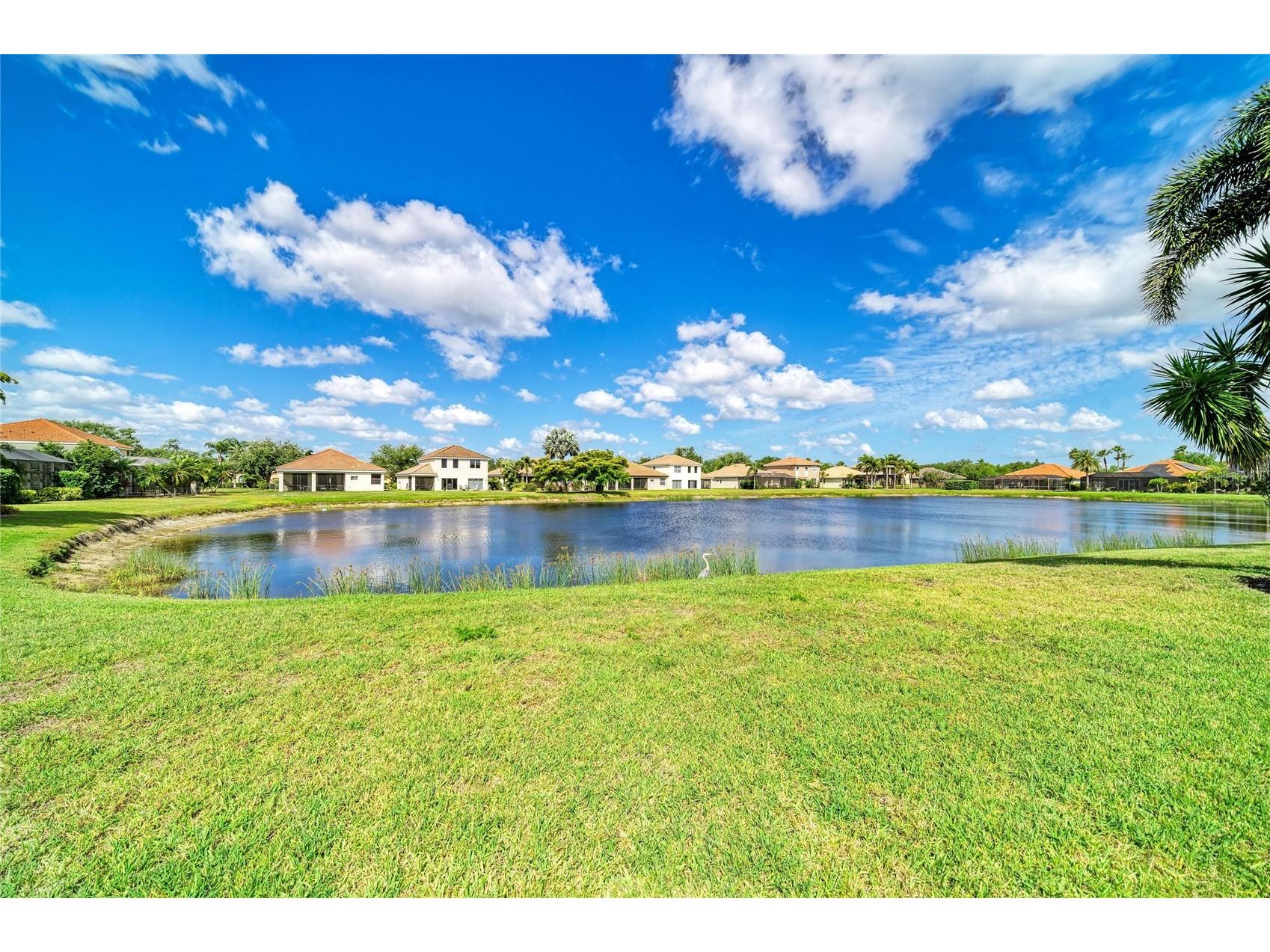9035 Willowbrook Circle Bradenton FL 34212 A4690943 image41