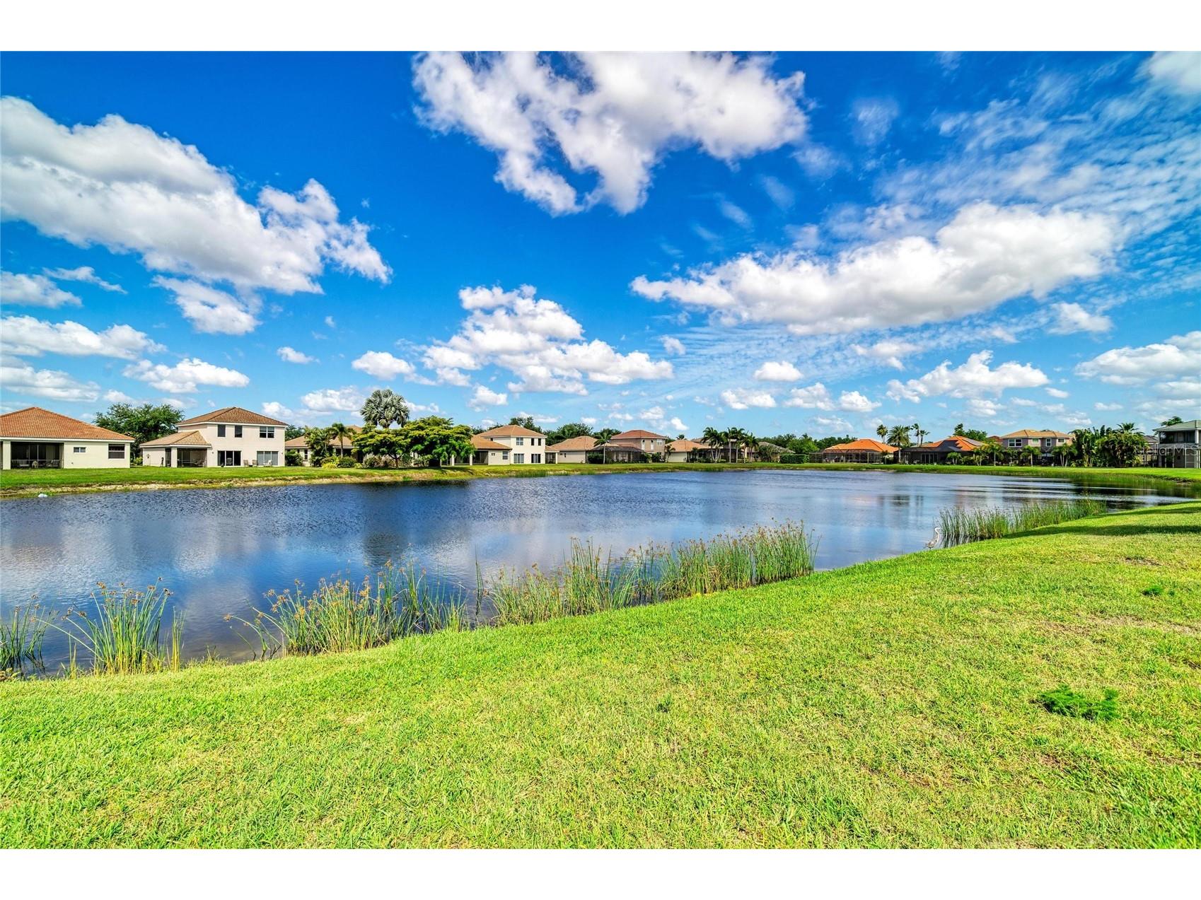 9035 Willowbrook Circle Bradenton FL 34212 A4690943 image42