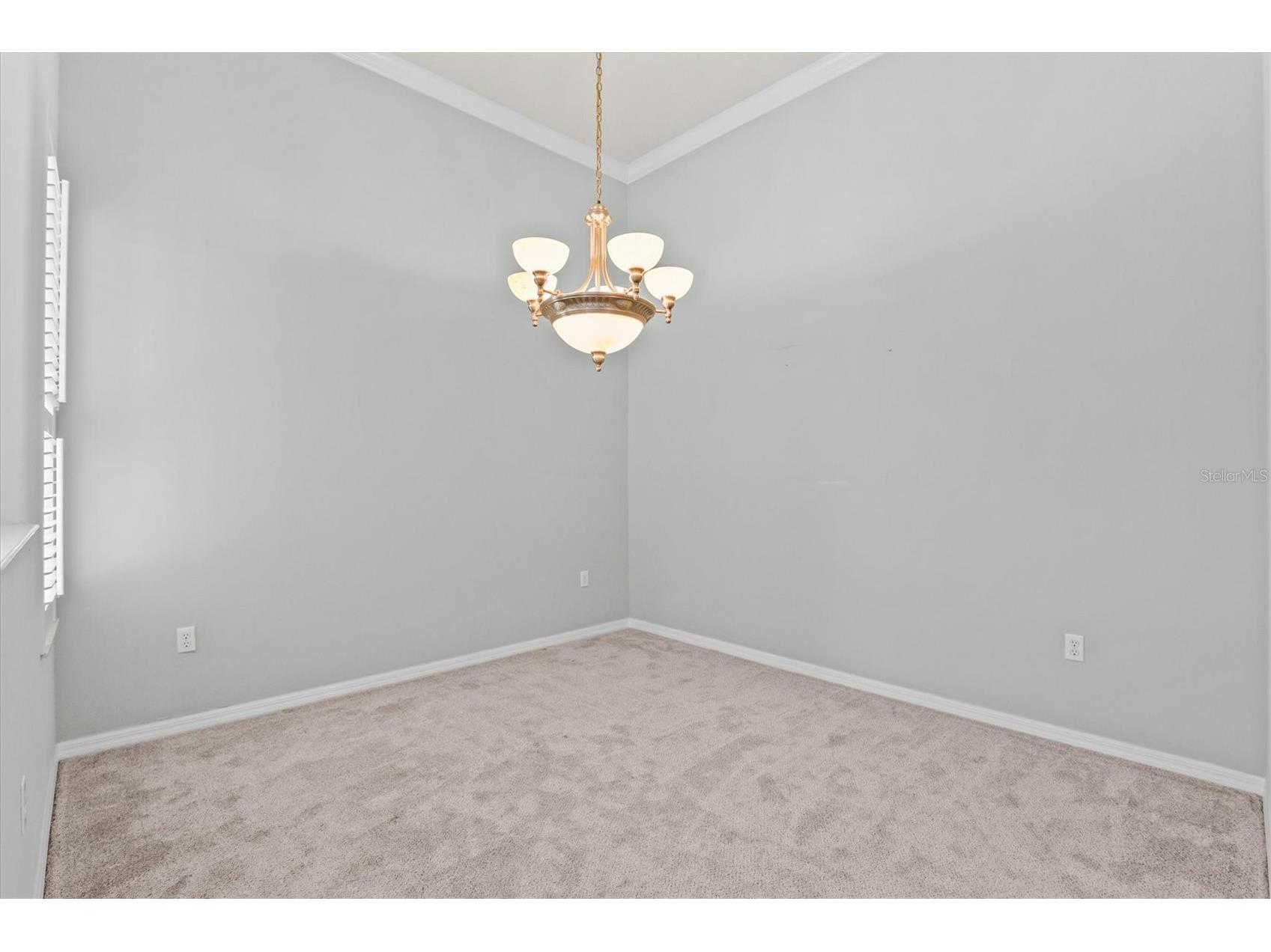 9037 Penelope Drive Weeki Wachee FL 34613 W7885837 image13