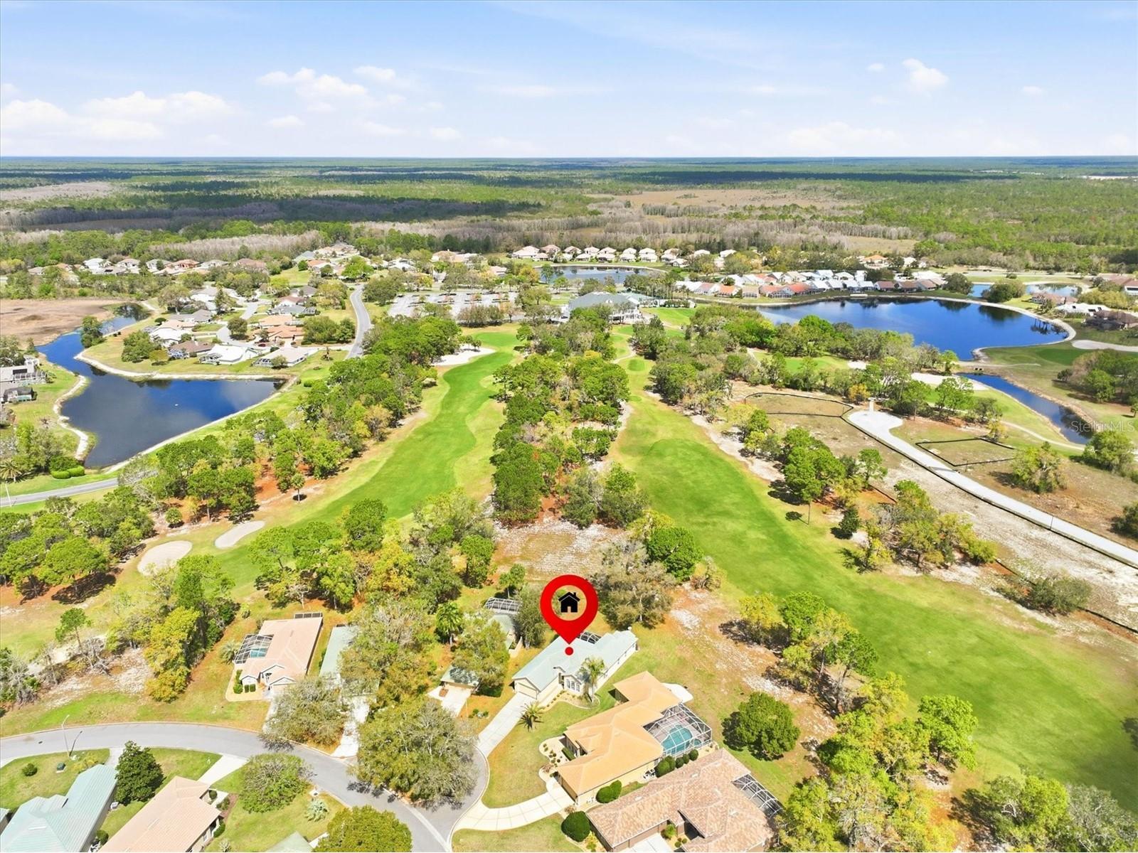 9037 Penelope Drive Weeki Wachee FL 34613 W7885837 image57