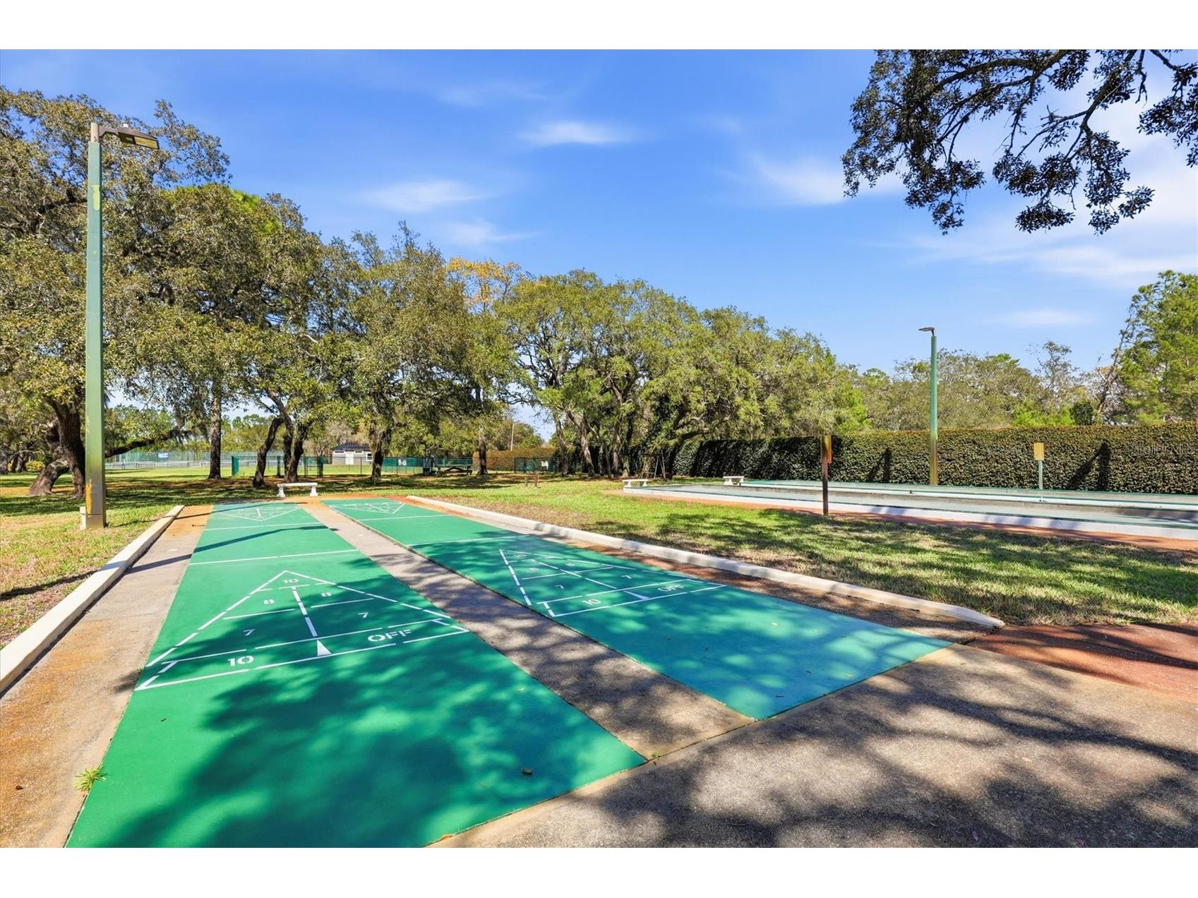 9037 Penelope Drive Weeki Wachee FL 34613 W7885837 image72