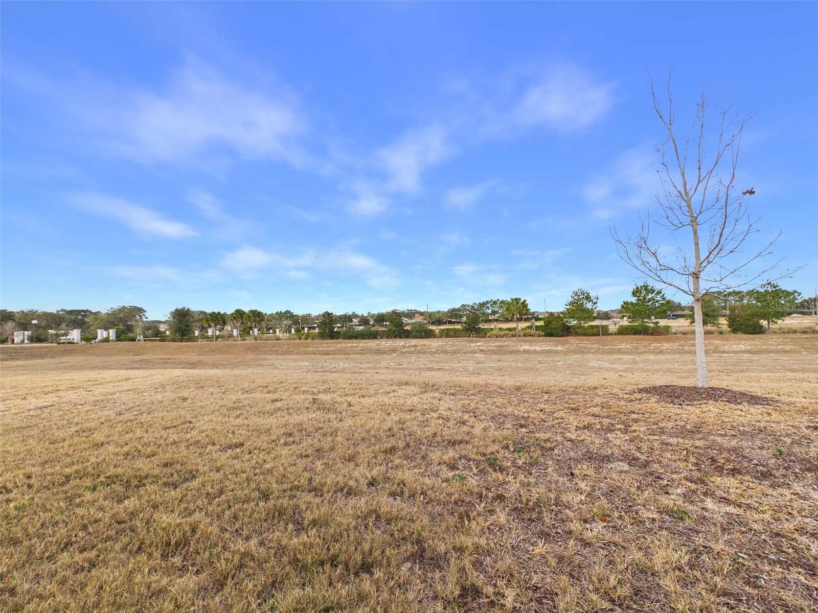 9037 SW 58th Circle Ocala FL 34476 OM718714 image47