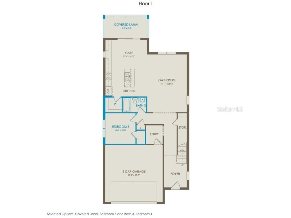 9037 Wildlight Trail Wildwood FL 34785 TB8436603 image2