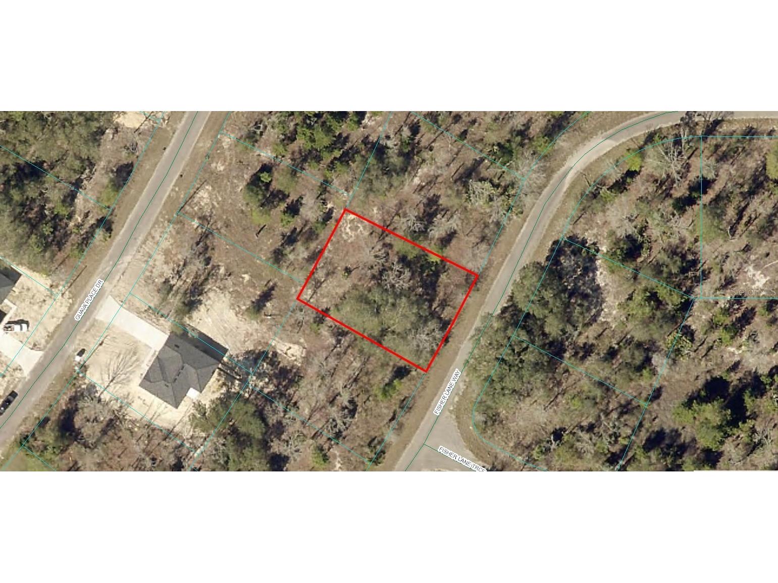 9038-1243-22 Fisher Lane Way Ocklawaha FL 32179 A4653696 image1