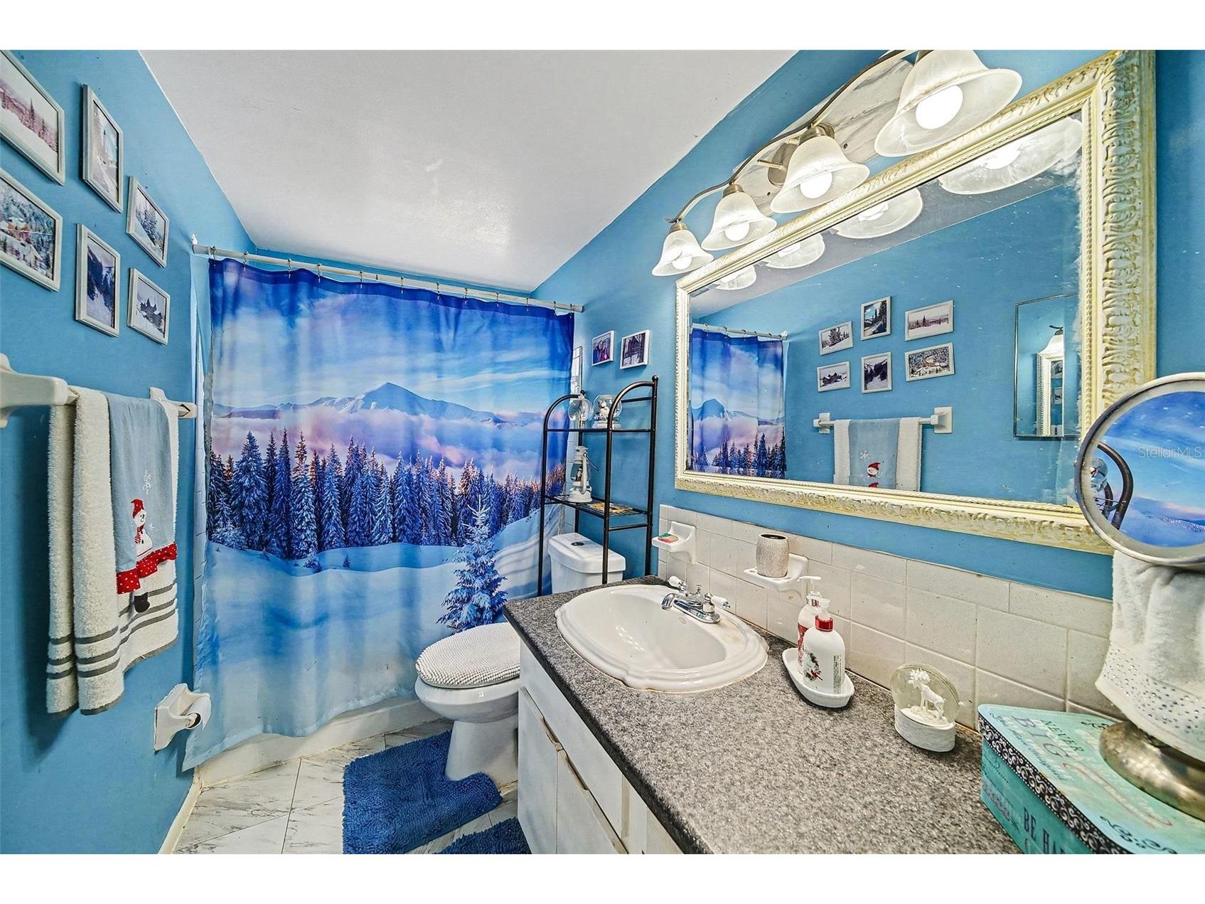 9038 Fairweather Drive Largo FL 33773 TB8466268 image20