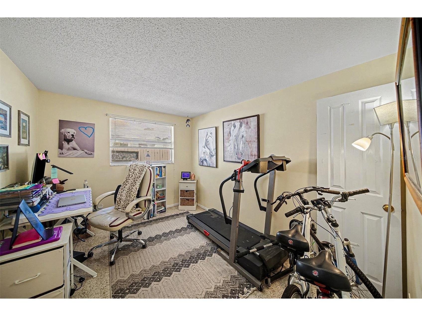 9038 Fairweather Drive Largo FL 33773 TB8466268 image24