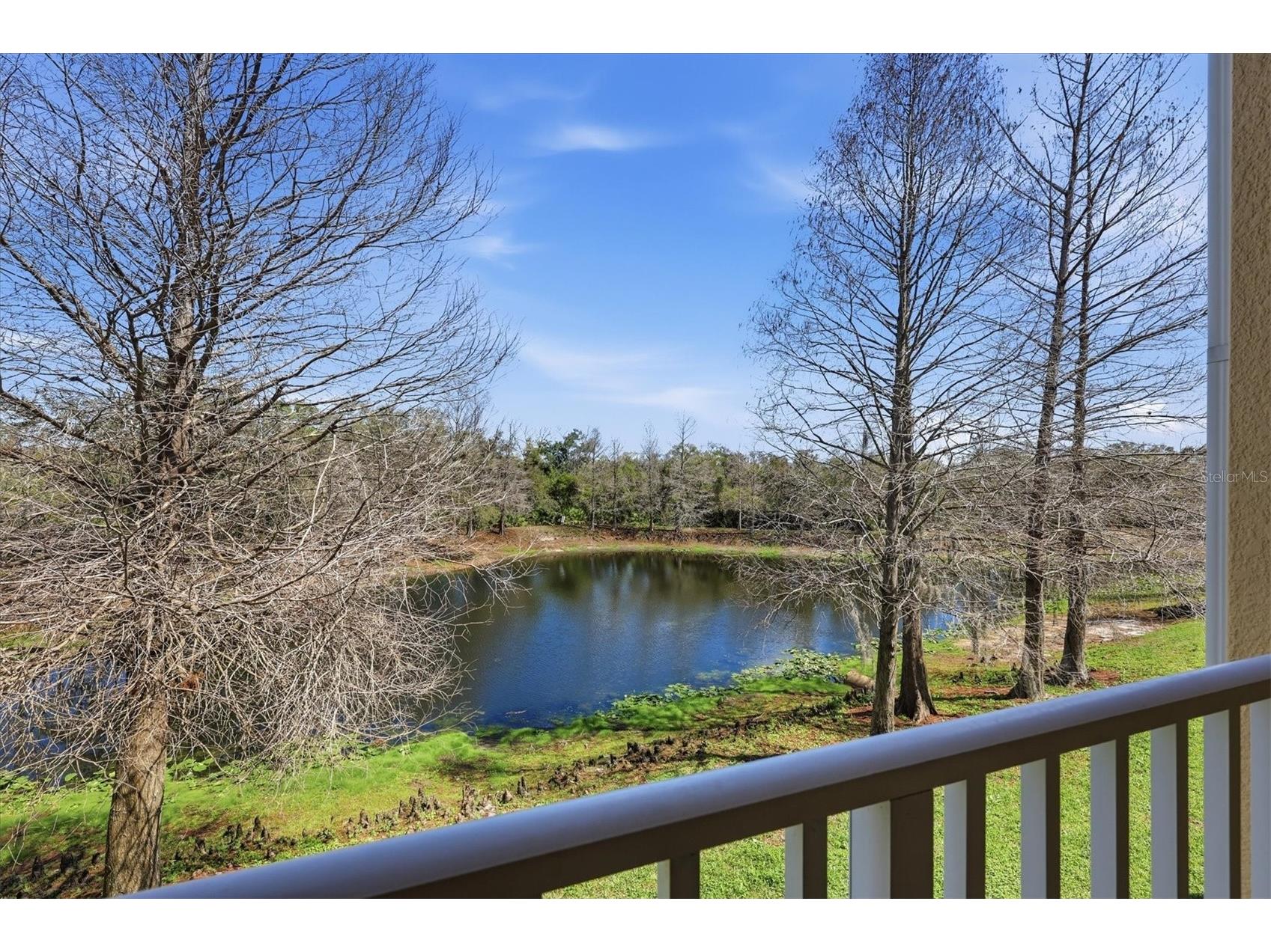 9038 White Sage Loop Lakewood Ranch FL 34202 A4682365 image35