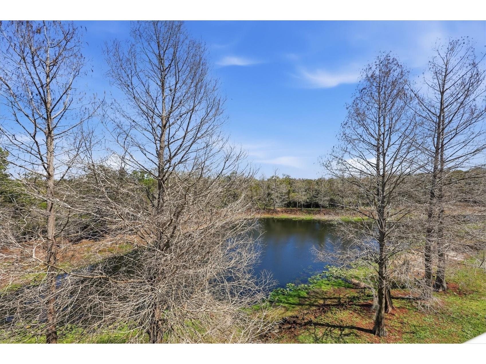 9038 White Sage Loop Lakewood Ranch FL 34202 A4682365 image39